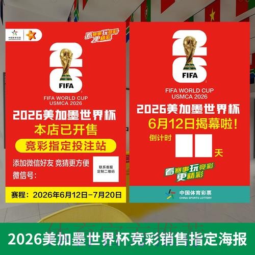 2026世界杯投注全解析与实用指南